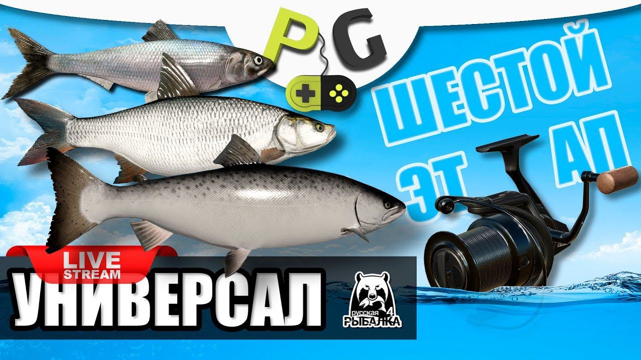 Русская Рыбалка 4 - Стрим Прокачка УНИВЕРСАЛА для шестого этапа, Часть #1 Северский донец и Волхов смотреть онлайн