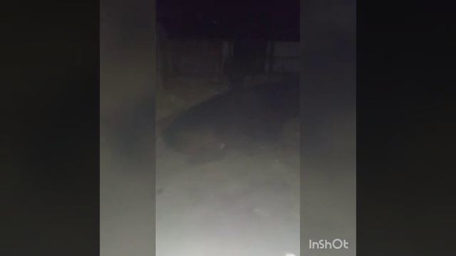 06.11.22.Приезд детей.Целый день готовка. смотреть онлайн