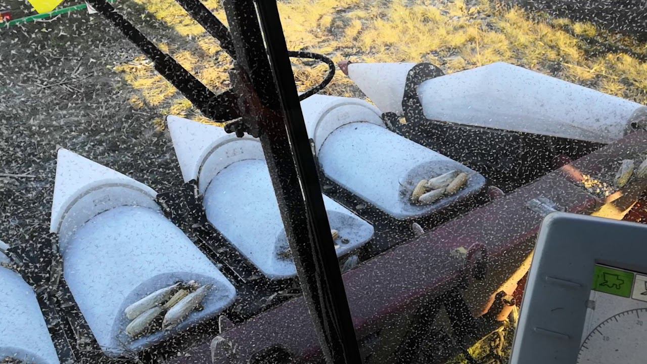 Торум 785. Холодный пуск. смотреть онлайн