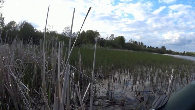 ЛОВЛЯ ЛИНЯ В КАМЫШЕ НА ЛЕСНОМ ПРУДУ смотреть онлайн