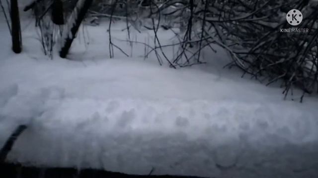 Как молоды мы были — Александр ГРАДСКИЙ | хроматическая калимба | chromatic kalimba seeds смотреть онлайн