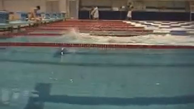 Кроль на груди смотреть онлайн