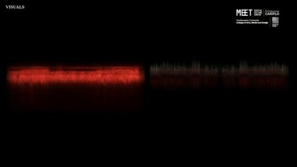 Data Sonification: Beyond the Visual. Hearing data between science and emotion.