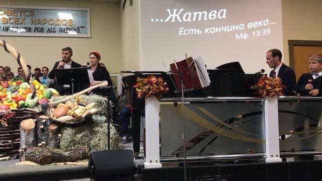 Осень, осень листья пожелтели смотреть онлайн