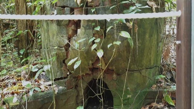 Thomson Nature Park | All You Need To Know смотреть онлайн