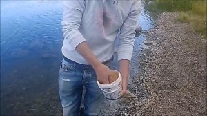 Рыбалка на Суходольском озере, Ленинградская область, Июль 2017