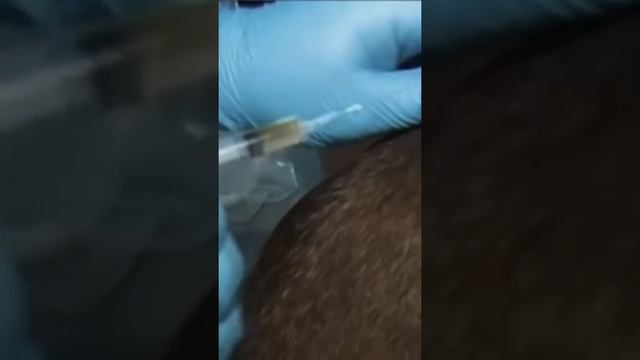 Как волк повлиял на судьбу человека ? #shorts смотреть онлайн