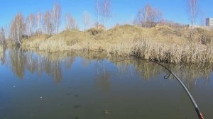ЩУКА после нереста. Ловля щуки весной на спиннинг .