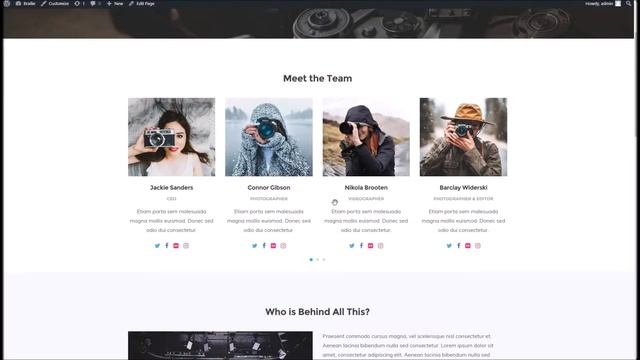 Brailie WordPress Theme - Team Members Overview смотреть онлайн