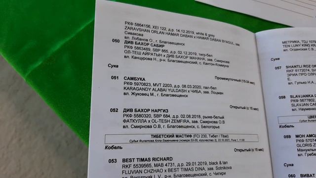 Бугай Алабай. Выставка собак 23.10.2021. Анонс. Вот бы такой зал собаководам в каждом городе. смотреть онлайн