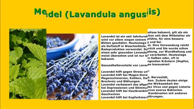 Heilkräuter Lexikon смотреть онлайн