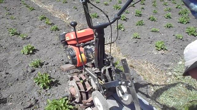 рыхление междурядий гусиной лапкой. смотреть онлайн