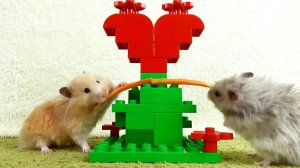 ?Хомяк в сказочном лесу Lego? mp4