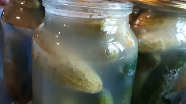 Лето в банке: начинаем заготовки. Как приготовить стручковую фасоль и кабачки (очень вкусно). смотреть онлайн