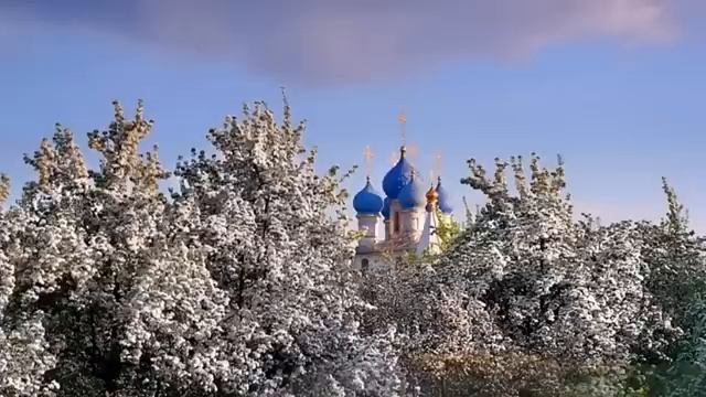 Колокольный звон и пение птиц на Великий Пост 2023 года благодатный очищающий и исцеляющий болезни