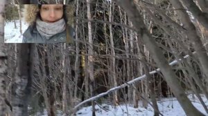 КАК НАЙТИ РОГА ЛОСЯ В ЛЕСУ: ищем лося и определяем следы животных на снегу