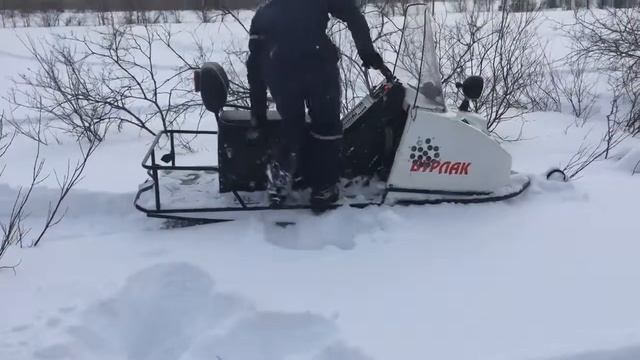Видео от владельца снегохода "Бурлак". Республика Коми. Февраль 2016 г. смотреть онлайн