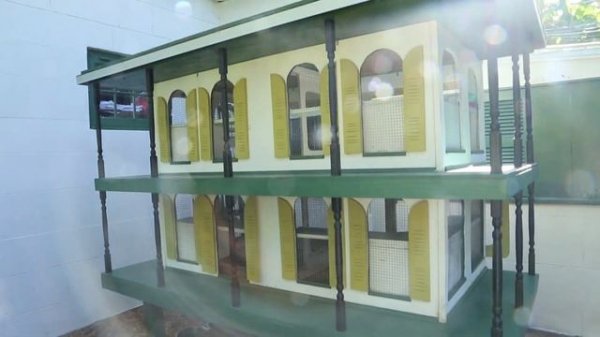 Hemingway House - Key West Florida