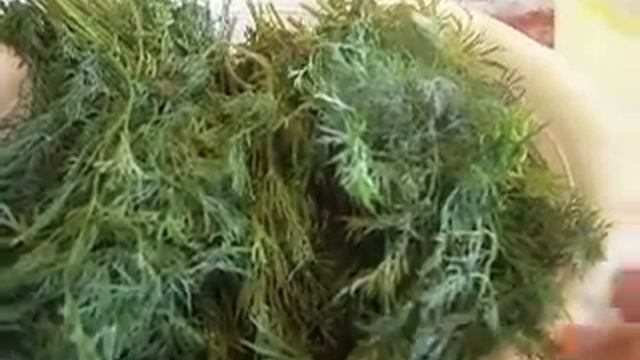 СОВЕТЫ - СЕКРЕТЫ. КАК ПРАВИЛЬНО ПОДГОТОВИТЬ ЗЕЛЕНЬ И ОВОЩИ ДЛЯ ЗАМОРОЗКИ.