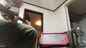 Roland street cube with bass