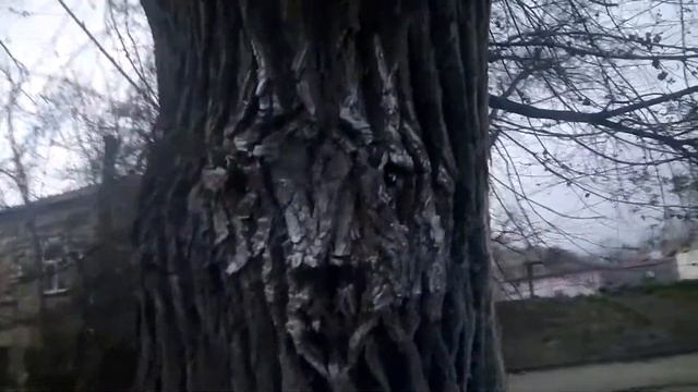Аккерман, Парк Победы Добрейший смотреть онлайн