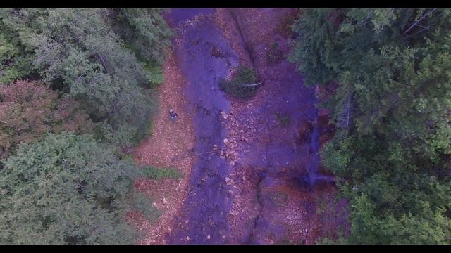 Река Рагуша (river ragus), Бокситогорский р-он, Лен.область 07. 08.2019года. смотреть онлайн