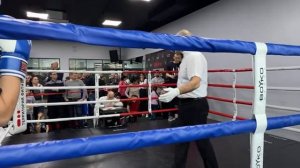Сетевой турнир по боксу “Terfit Fight Boxing”
