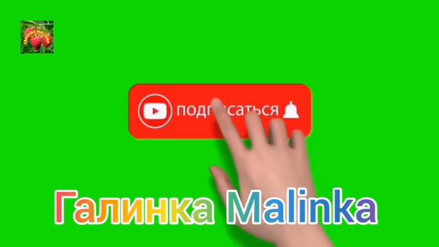 Колесниковы /Вы совсем рехнулись? /Зачем это показывать? /Обзор Влогов / смотреть онлайн