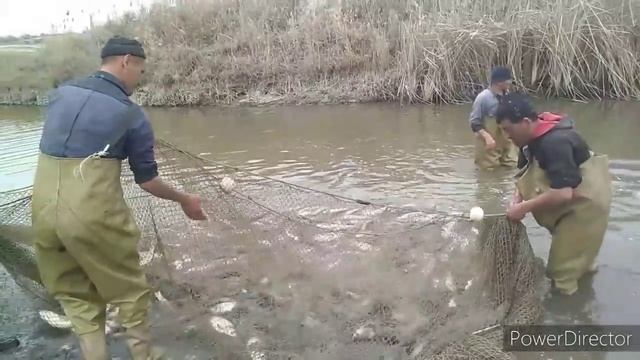 Fishing#Baliq# ovi #рибалка#ахота# смотреть онлайн