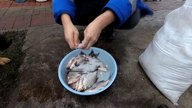 Кулинарные Мастер-Классы