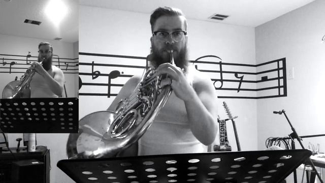 📯Miley Cyrus - Wrecking Ball: French Horn Cover смотреть онлайн