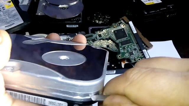 Ищем золотой диск в винчестере 1 часть смотреть онлайн