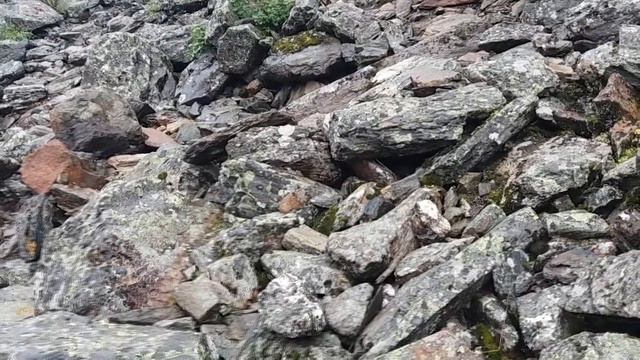 Алтай (Шавлинские озёра + Долина Маашей), июль 2018 смотреть онлайн