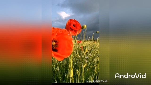 Детство смотреть онлайн