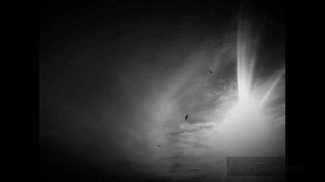 #СТИХИ 28 лет . смотреть онлайн