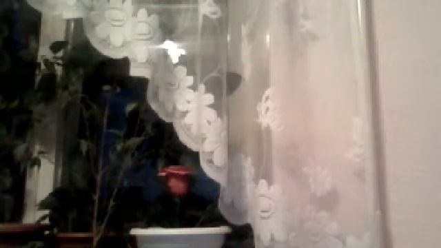 Видео с веб-камеры. Дата: 4 августа 2014 г., 21:40.