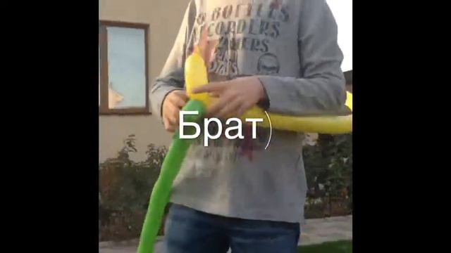 Мой влог+мой сумасшедший брат ) смотреть онлайн