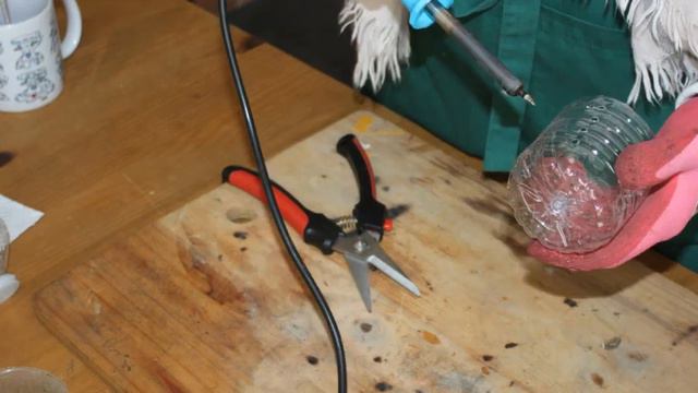 dendrobium in sphagnum test смотреть онлайн