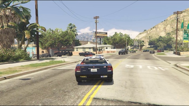 GTA 5 ПОЛИЦИЯ ПОГОНЯ [ПОЛИЦЕЙСКИЕ БУДНИ С НАПАРНИКОМ СЕРЕГОЙ] # 9