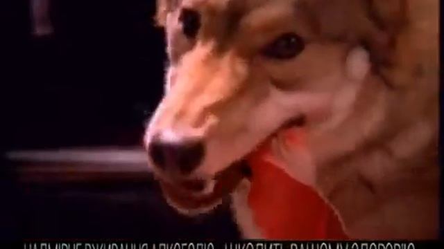 Цельсий 1 смотреть онлайн