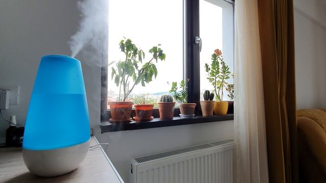 DORMEO Air purifier ASMR смотреть онлайн