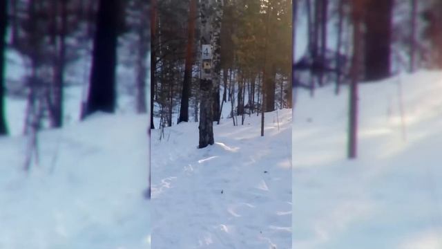 Sedelnikovo - Honda Civic - Скоро возвращение Паши Лайфера! смотреть онлайн