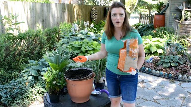 Cone Container Living Wall Garden How To смотреть онлайн