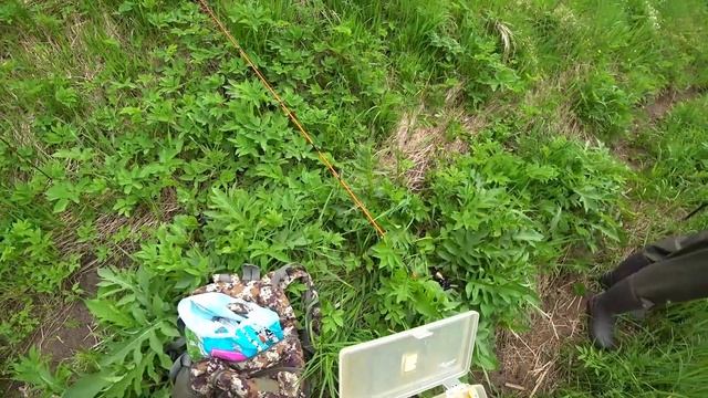 Рыбалка в Ленинградской области. смотреть онлайн