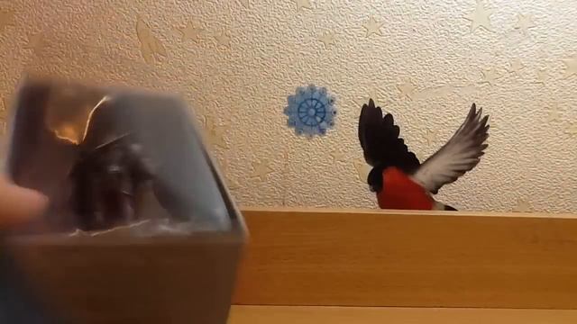 Журнал ,,Властелин колец (шахматы)" 2 выпуск смотреть онлайн