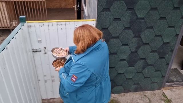 Влог 382 Одна на хозяйстве/быстрый обед/Родители стояли почти сутки на границе/из Германии в Россию смотреть онлайн