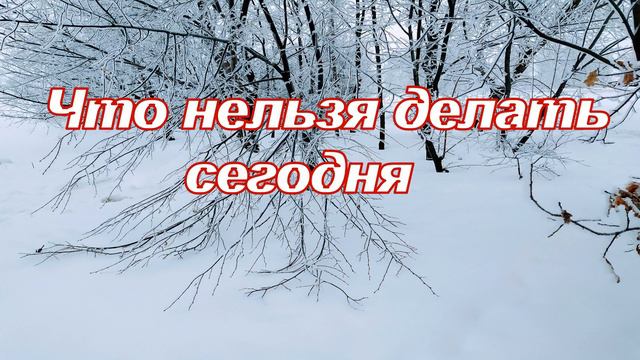 25 февраля. АЛЕКСЕЕВ ДЕНЬ.Почему нельзя рассказывать сны смотреть онлайн