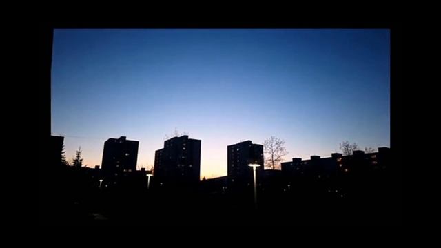 Топ 5 сиреноголовых снятые на камеру смотреть онлайн