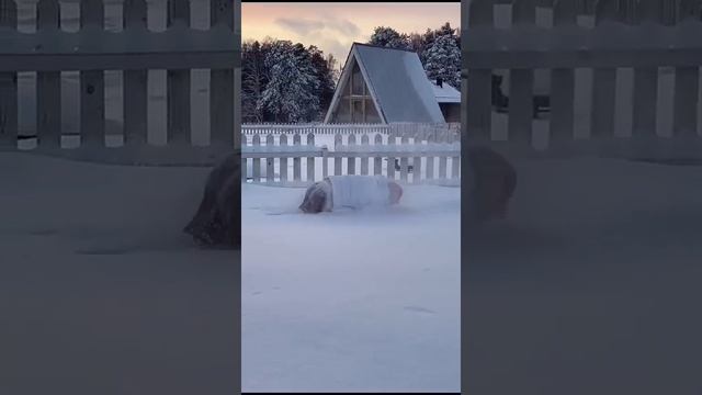 Кульбит Новый год 55+, рубрика 