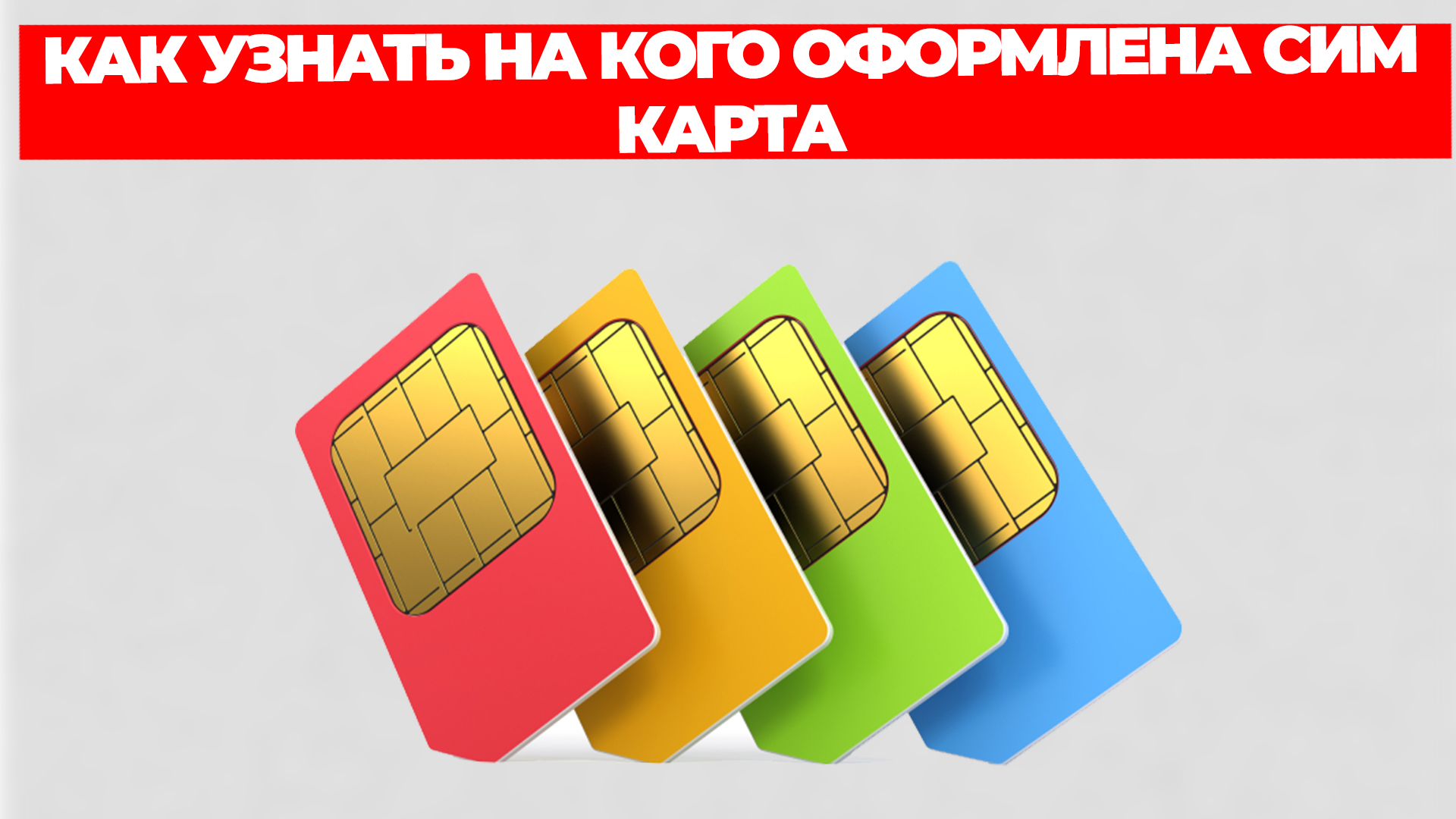 Всезнающий Енот